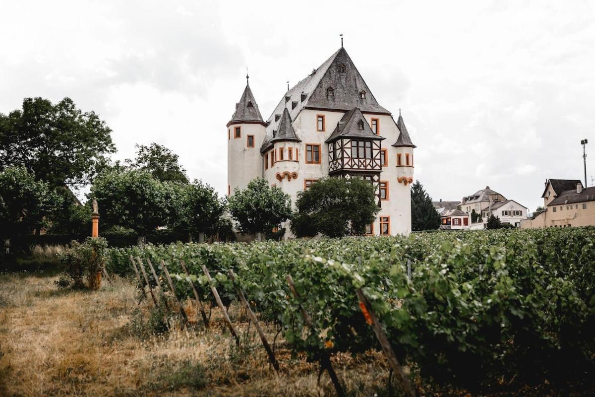 Schloss Schoenborn Geisenheim Bagian luar foto