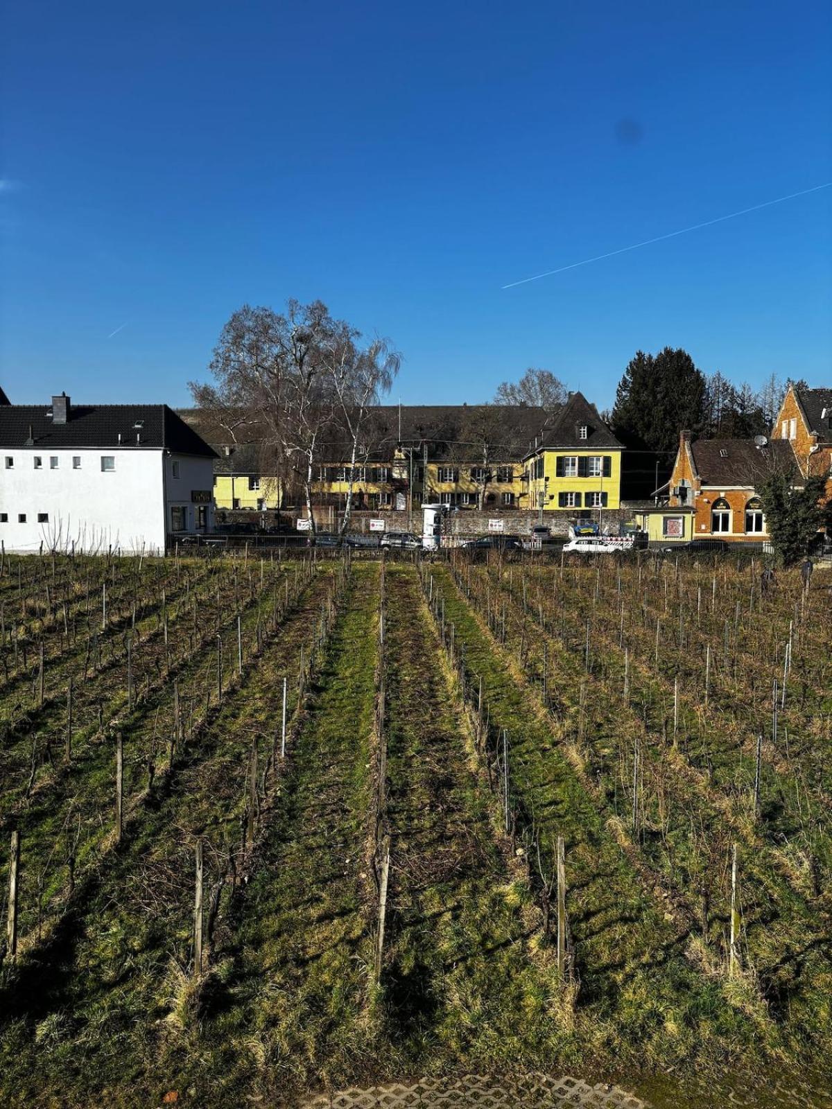 Schloss Schoenborn Geisenheim Bagian luar foto